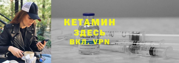 дживик Богородицк